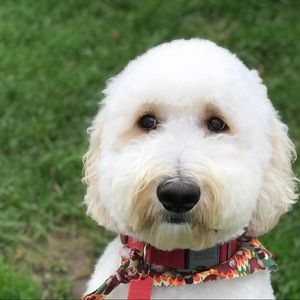 Meet your Posher, Evan